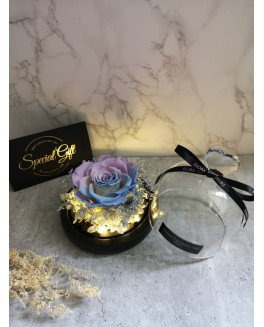 Thinking of you, R&G05 Thinking of you, R&G05